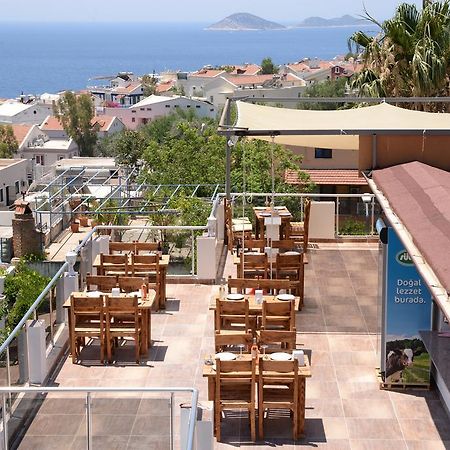 קלקן Neruda Hotel מראה חיצוני תמונה