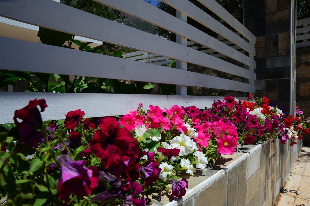קלקן Neruda Hotel מראה חיצוני תמונה